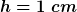 [latex]h=1~cm[/latex]